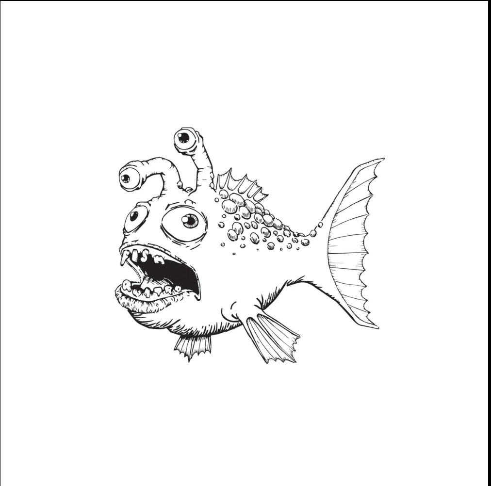 FISH QUATRO STOCK DIMS
