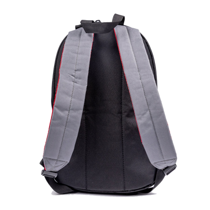 Ocean & Earth Aircon Backpack: rear shoulder straps