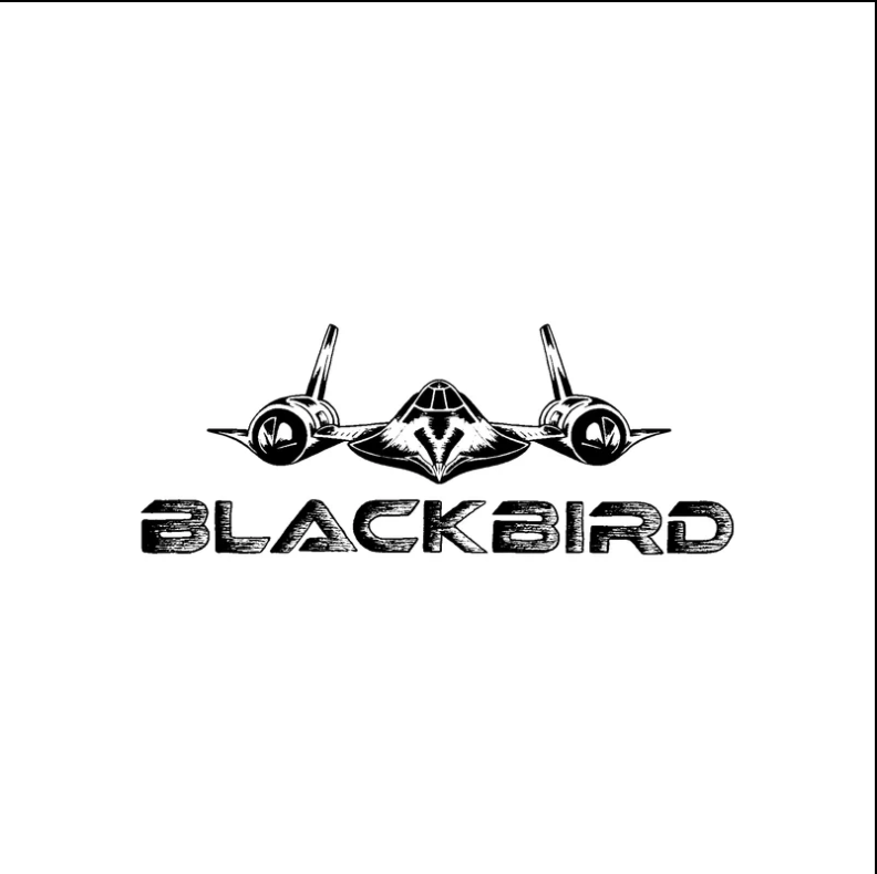 Rusty BLACKBIRD step-up surfboard model logo
